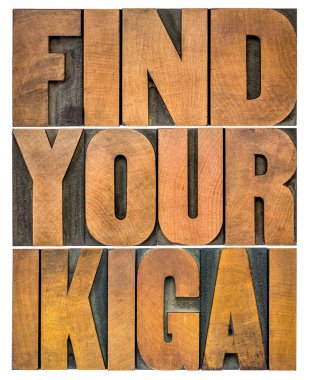 find your ikigai - isolated word abstract in letterpress wood type - Japanese concept of a reason for being and life purpose clipart
