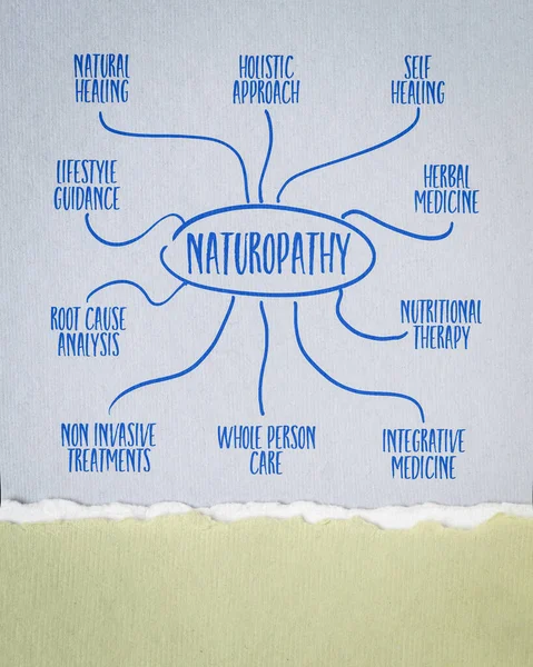 Naturopathy Infographics Mind Sketch Art Paper Health Healthcare Medicine Concept — Stock Photo, Image