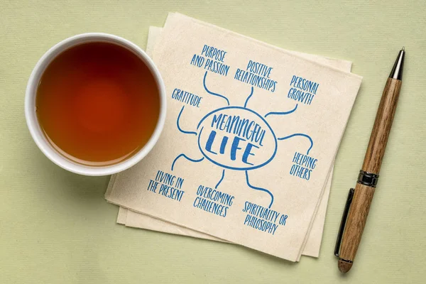 Anlamlı Yaşam Konsepti Bilgi Grafikleri Veya Zihin Haritası Çizimi Çay — Stok fotoğraf