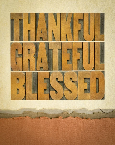 Vděčná Vděčná Požehnaná Inspirativní Slova Vinobraní Písmomalby Typu Dřeva Proti — Stock fotografie