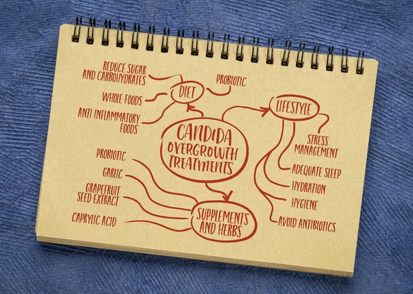 Candida Overgroei Behandeling Infographics Mind Map Schets Een Notebook Wellness — Stockfoto