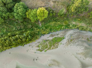 Sığ ve kumlu nehir kıyılarında kır çiçekleri, yaz sonu hava manzarası