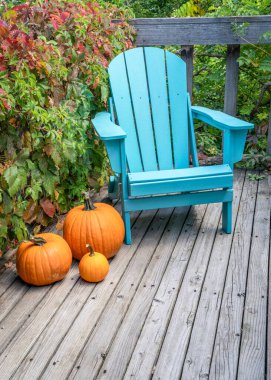 Boş Adirondack sandalyesi, ahşap arka bahçede balkabağı, Colorado 'da sonbahar manzarası.
