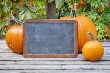 Boş geçmişe dönük tahta. Kabaklı ahşap bir deste imzala.