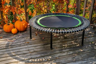 Spor için mini trambolin arka bahçedeki terasta egzersiz ve ribaund, balkabaklarıyla sonbahar manzarası