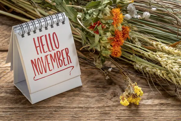 大家好 十一月的欢迎辞 在一个螺旋形的桌面日历上 花束干燥的花和谷物茎 季节和日历的概念 — 图库照片