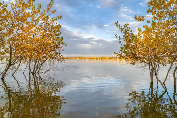 Podzimní Krajina Západu Slunce Boyd Lake State Park Lovelandu Colorado — Stock fotografie