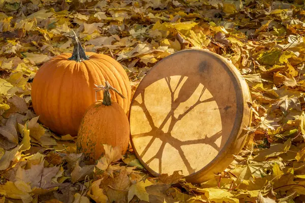 native American style drum with pumpkins on a backyard lawn covered by golden mapple leaves, fall scenery