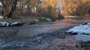 Fort Collins, Colorado 'daki Poudre Nehri, sonbahar manzarasında alçak akış