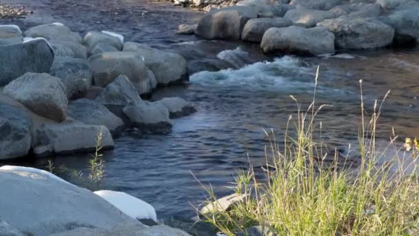 Poudre River Wildwasserpark Der Innenstadt Von Fort Collins Colorado Geringe — Stockvideo