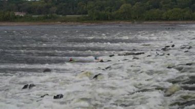 Granite City, IL, ABD - 8 Ekim 2023: Mississippi Nehri üzerindeki Kayalar Zinciri 'nde alçak su barajının altında dalgalarda oynayan ve sörf yapan iki beyaz su kayakçısı