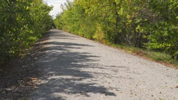 笔直的自行车道由树木筑成 随风飘荡 位于内布拉斯加州比阿特丽斯北部的家园小径上 秋天的风景 家园之路 走廊绵延60英里 从林肯的边缘一直延伸到堪萨斯州的玛丽斯维尔 — 图库视频影像