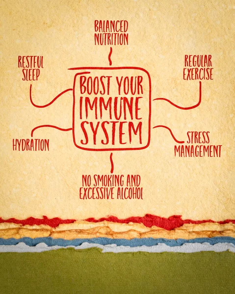 Boost Your Immune System Mind Map Sketch Art Paper Healthy — Stock Photo, Image