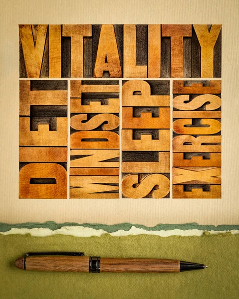 Diet Sleep Exercise Mindset Vitality Concept Word Abstract Vintage Letterpress — Stock Photo, Image