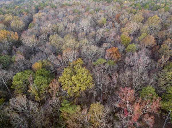 Final Novembro Vista Aérea Uma Floresta Uma Costa Rio Tennessee — Fotografia de Stock