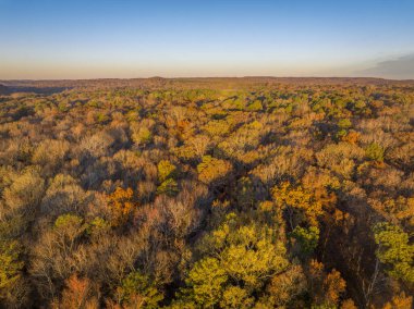 Kasım sonlarında Tennessee Nehri kıyısında bir ormanın üzerinde gün doğumu Colbert Ferry Park, Natchez Trace Parkway yakınlarında.