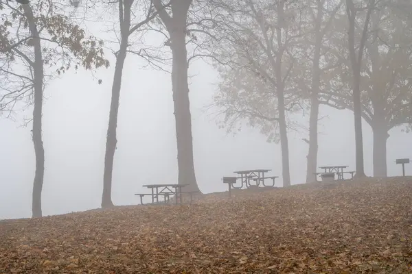 Colbert Ferry Park, Natchez Trace Ulusal Parkway 'deki Tennessee Nehri kıyısında sisli bir Kasım sabahı.