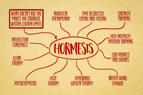 Hormesis Hormetic Strategies Health Wellness Infographics Mind Map Sketch Art — Stock Photo, Image