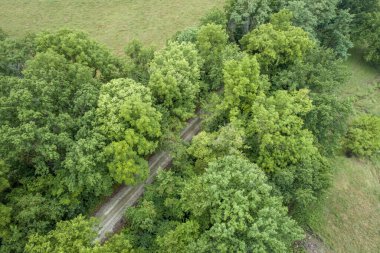 Katy Trail Pilot Grove, Missouri - yakınındaki hava görünümünü Missouri devlet çoğunu arasında uzanan 237 mil bisiklet yolunda terk edilmiş tren dönüştürülür.