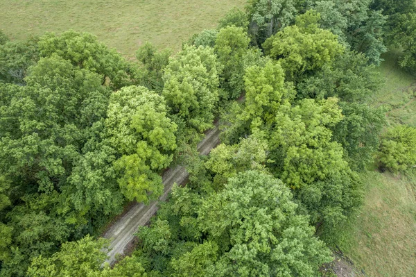 aerial view of Katy Trail near Pilot Grove, Missouri - 237 mile bike trail stretching across most of the state of Missouri converted from abandoned railroad