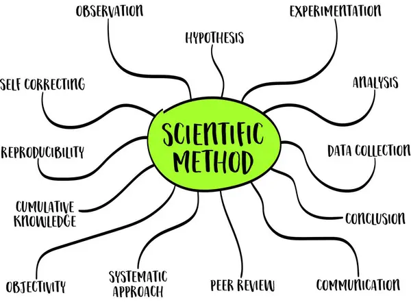 infografías del método científico o bosquejo de mapas mentales, ciencia ...