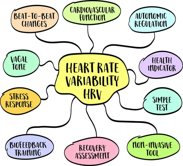 Heart Rate Variability Hrv Infographics Mind Map Cardiovascular Health Concept — Stock Vector