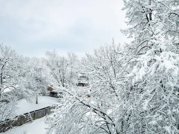 冬天早上 科罗拉多北部柯林斯堡的后院 在一场暴风雪之后 空中看到了 — 图库照片#