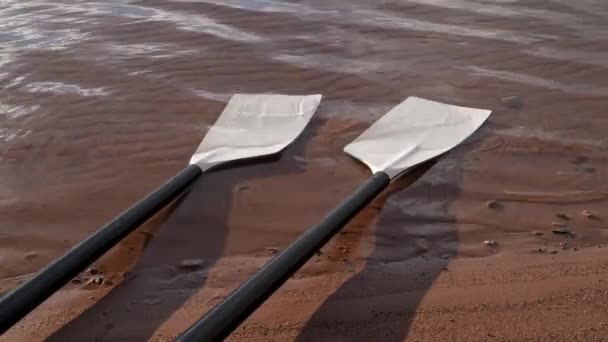 Λεπίδες Από Βατραχοπέδιλα Σκαλίζουν Κουπιά Αμμώδη Παραλία Λίμνης — Αρχείο Βίντεο