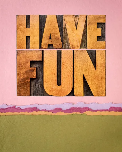 Have Fun Word Abstract Text Vintage Letterpress Wood Type Blocks — Stock Photo, Image