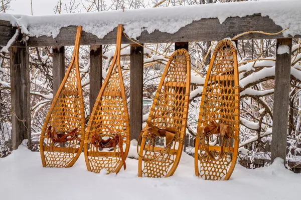 Classic Wooden Snowshoes Huron Bear Paw Backyard Snow Falling — стокове фото