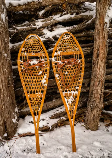 Kar Kaplı Arka Bahçede Klasik Ahşap Kar Ayakkabıları Huron — Stok fotoğraf