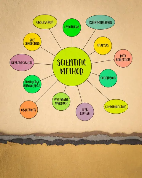 Metodo Scientifico Infografica Mappa Mentale Schizzo Vettoriale Carta Arte Scienza — Foto Stock
