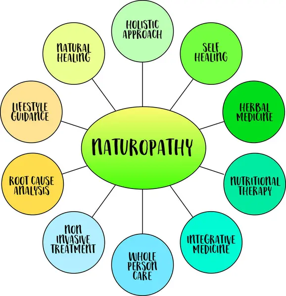 Naturopathie Santé Santé Holistique Mode Vie Médecine Intégrative Concept Infographie — Image vectorielle