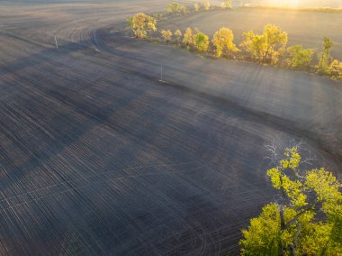 Gündoğumunda Missouri 'nin merkezindeki ekili mısır tarlalarının bahar havası manzarası