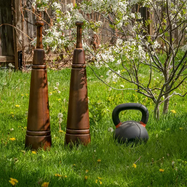 Wooden Persian Meels Heavy Kettlebell Dwarf Cherry Tree Blossom Backyard — Zdjęcie stockowe