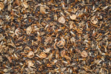 Kuraklık tollerant yaban çiçeği tohumları, macto arkaplan ve doku karışımı