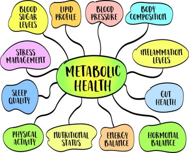 Metabolik sağlığı etkileyen bileşenler ve faktörler, vektör bilgi grafikleri zihin haritası çizimi