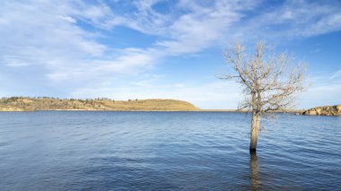 Horsetooth Reservoir 'ın kuzey Colorado eteklerindeki kış manzarası