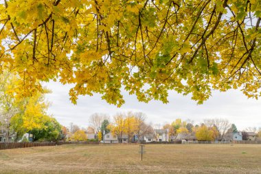 Yerleşim yerlerindeki nostaljik sonbahar manzarası Fort Collins, Colorado 'da bir akçaağaç ve bir tarlada frizbi sepeti ile