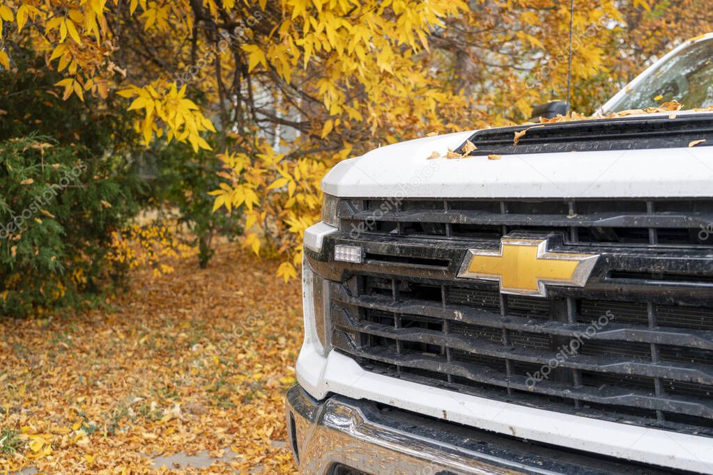 Fort Collins, CO, USA - October 30, 2024: A grille with logo of heavy duty, full size Chevy truck on a street with fall color foliage.