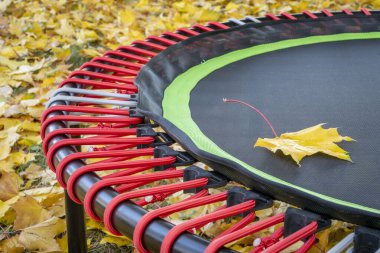 Akçaağaç yapraklarıyla kaplı arka bahçede spor yapmak ve ribaund yapmak için mini trambolin ayrıntıları