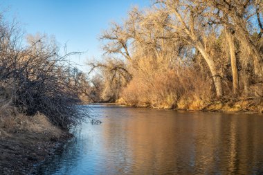 Fort Collins, Colorado 'daki Poudre Nehri, sonbahar manzarası