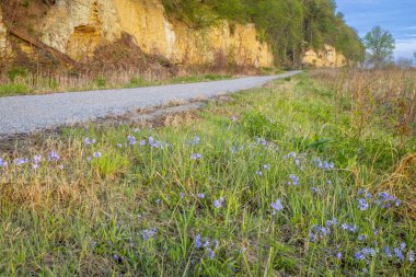 Steamboat Trace, bike trail converted from an abandoned railroad, near Peru, Nebraska, springtime morning scenery clipart