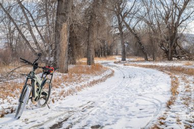 Kuzey Colorado 'da Poudre River Trail' deki kış manzarası.