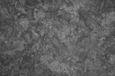 siyah ve beyaz soyut doku ve arkaplan - arka ışıklandırılmış ağaç kabuğu sanat kağıdının yakın çekimi