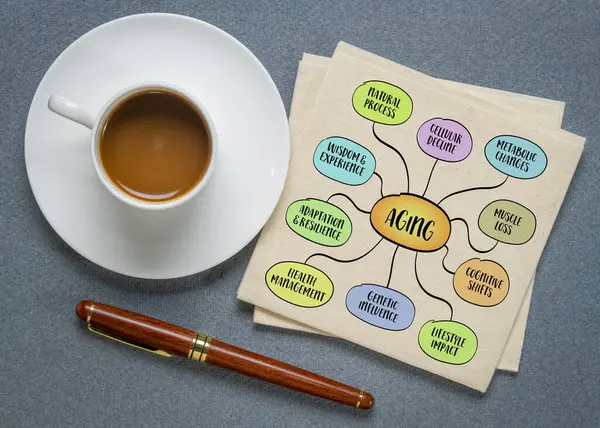 Yaşlanma, biyolojik, fizyolojik ve psikolojik değişimlerin doğal süreci zaman içinde yaşayan organizmalarda meydana gelir. Bilgi grafikleri çizimi.