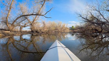 Kolorado 'da kayak yapan ve devrilen ağaçlarla sakin bir nehirde kano ya da kano gezisi - POV Paddler perspektifi