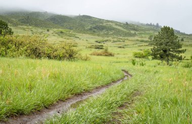 Lory State Park 'ta yağmurlu bir bahar gününde Colorado' daki Rocky Dağları eteklerinde çamurlu bir tren.