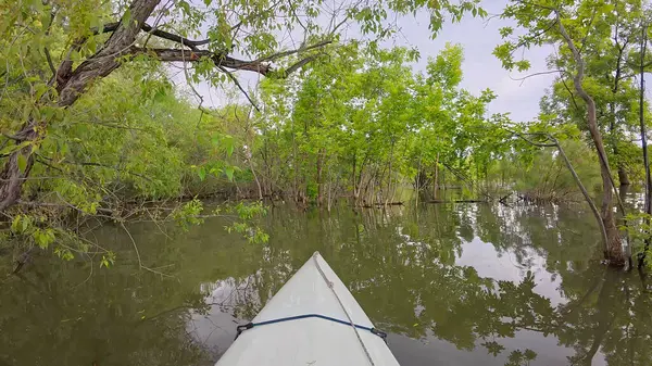 Bahar manzarasında sakin göl veya nehirde kürek çekmek - Loedecker, Colorado 'daki Boedecker Reservoir' da kano ya da kano kullanmaktan POV manzarası