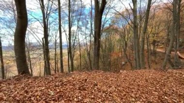 İspanya 'nın Barcelona eyaletindeki Montseny doğal parkında sonbahar manzarası